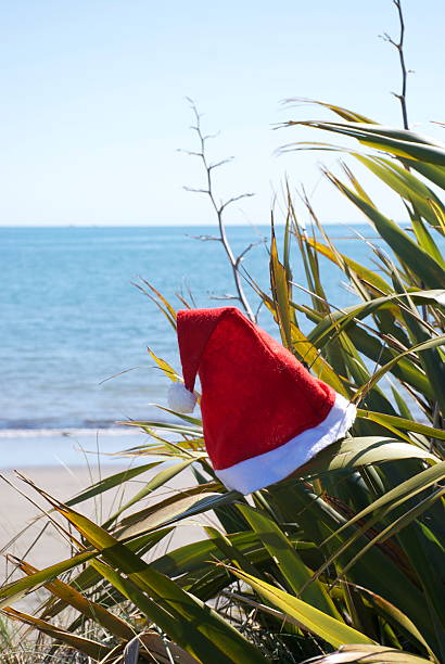 istock Kiwiana Christmas Themed Image 492366642