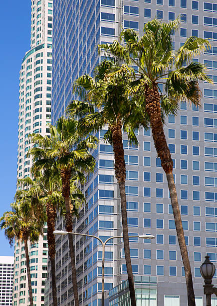 istock LA Downtown Los Angeles Pershing Square palm tress 492366829