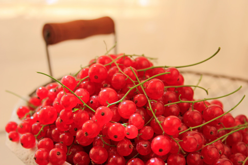 Freshly picked red currants in an old wire basket