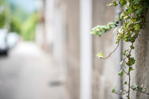 Italian town selective focus street background