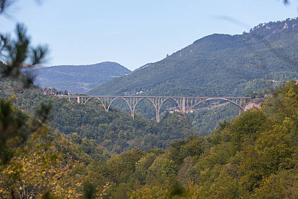 istock Durdevica arched Tara Bridge over green canyon 492368524
