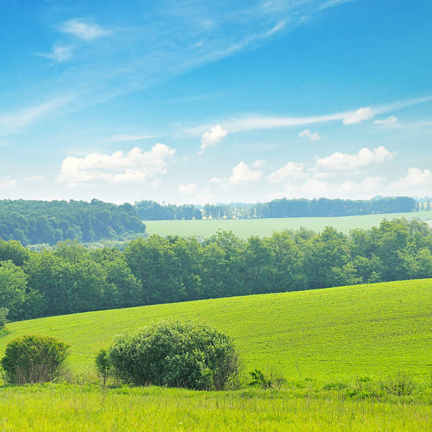 istock green field and blue sky 492384498