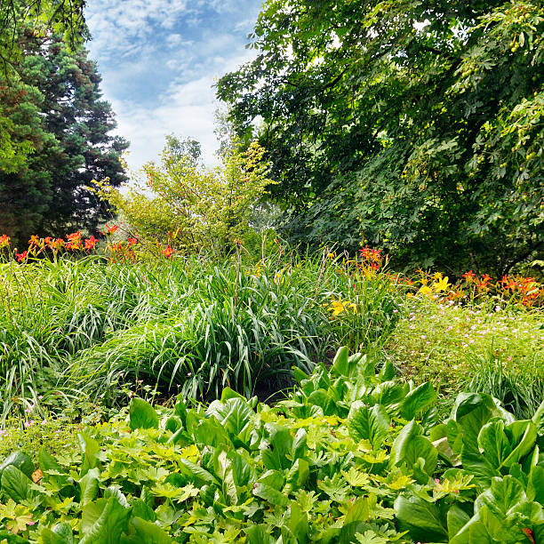 istock summer park with beautiful flower bed 492384692