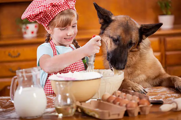 Photo of little girl that blurs  the dough ,and German Shepherd steals