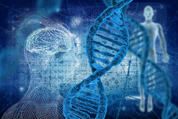 phân tử dna - sự tiến hóa sinh học hình ảnh sẵn có, bức ảnh & hình ảnh trả phí bản quyền một lần