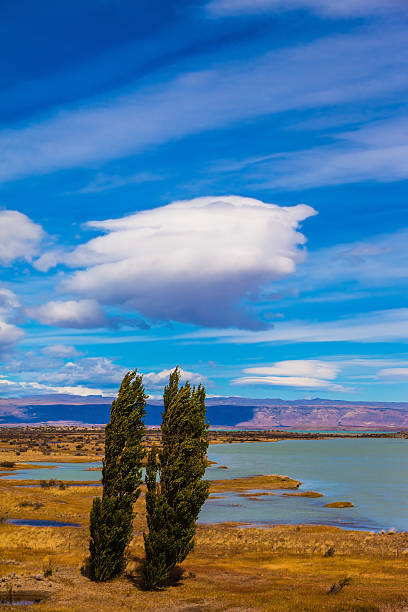 istock Argentine Patagonia on windy summer day 492388676