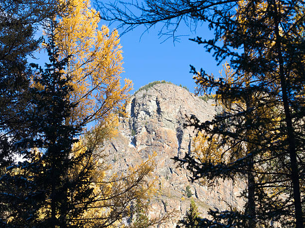 istock Nature window through the forest to the mountain. 492388910