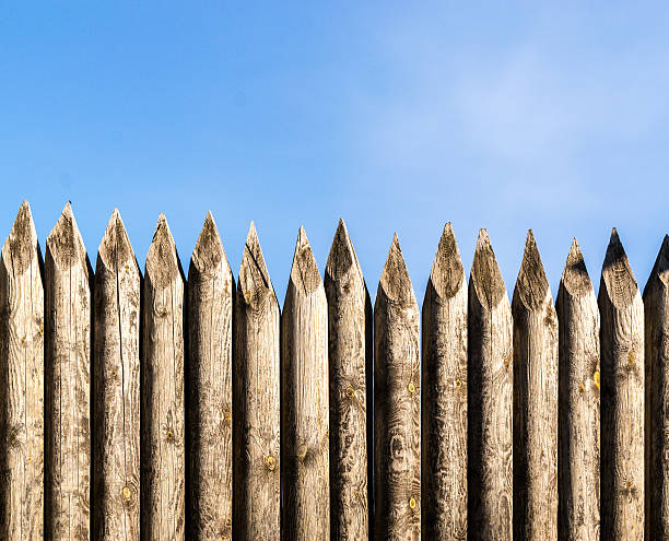 istock Wooden Palisade Fencing 492389070