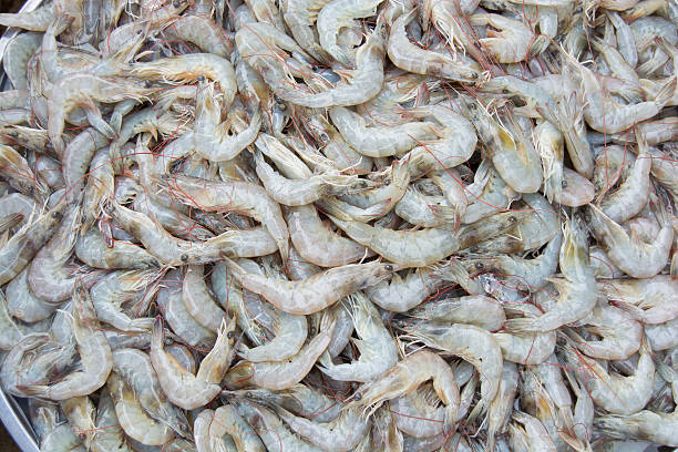 istock Fresh shrimp at the market for sell 492390158