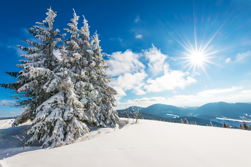 Snowy view in Carpathian Mountains, landscapes series. 