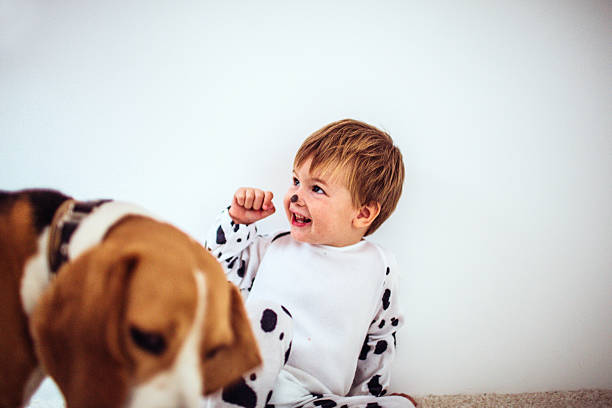 istock Little dalmatian dog and his beagle dog 492393394