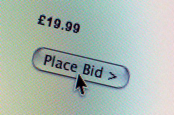 istock Place Bid computer monitor 492393508