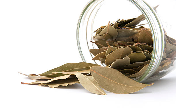 istock Bay leaf poured out of the jar. 492393556