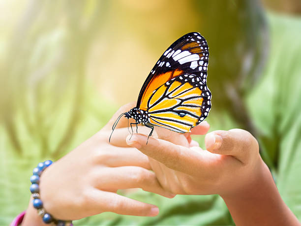 istock butterfly hanging on girl's finger 492394068