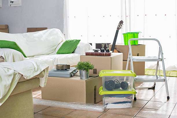 istock Living room full of packing boxes 492394460