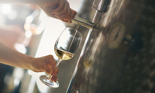 Closeup of unrecognizable adult poouring white wine into glass. Employee of the local winery, filling the glass for tasting. Wine is stored in stainless steel wine tanks. Side view, low angle shot.