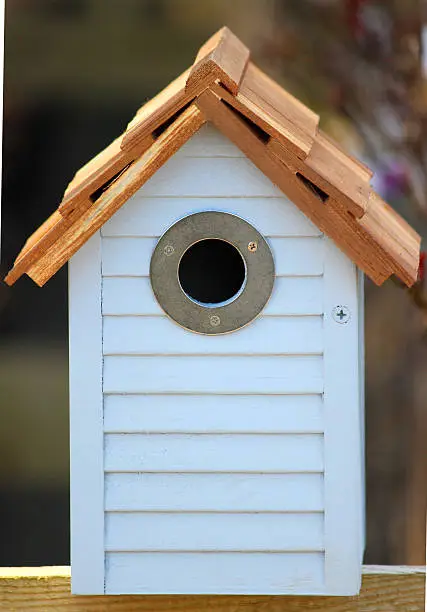 Photo showing a blue wooden bird box / nesting box with a metal ring around the entrance hole, being designed to appear like a seaside beach hut.
