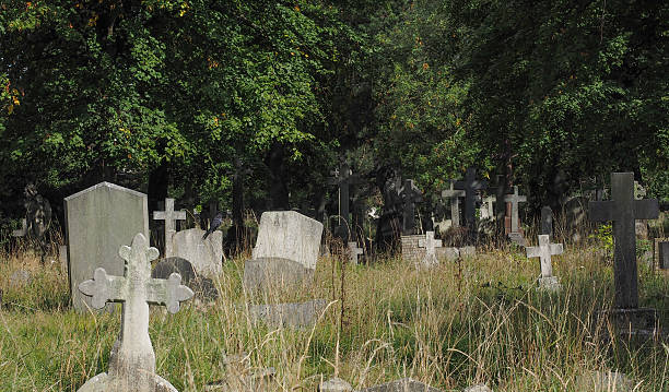 istock Tombs and crosses at goth cemetery 492397018