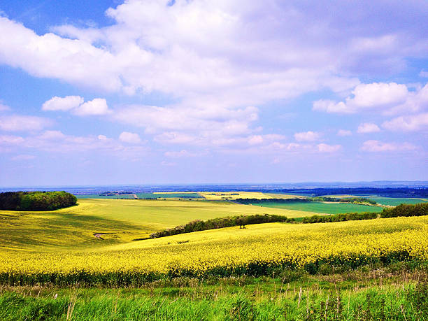 south oxfordshire campo - oxfordshire fotografías e imágenes de stock