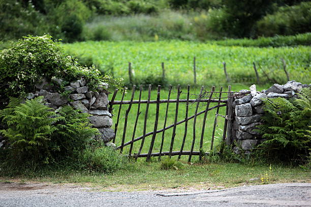 istock EUROPE MONTENEGRO AGRICULTURE 492398497