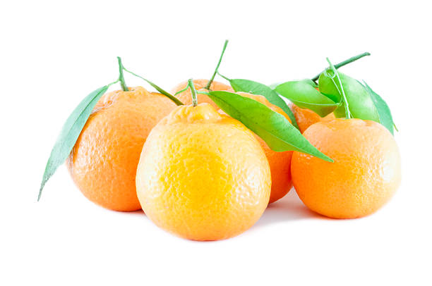 beautiful still life of tarocco orange