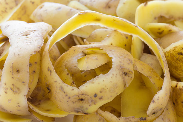 Fresh potato skins or peels  background