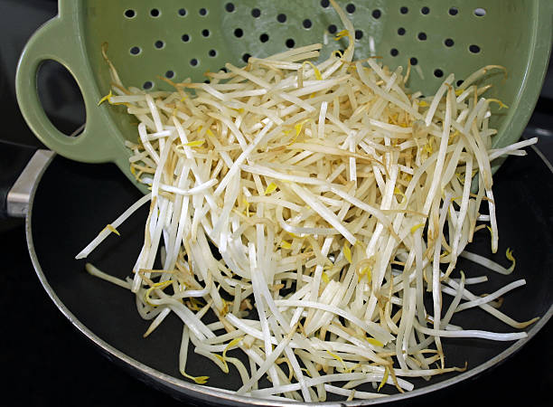Bean Sprouts
