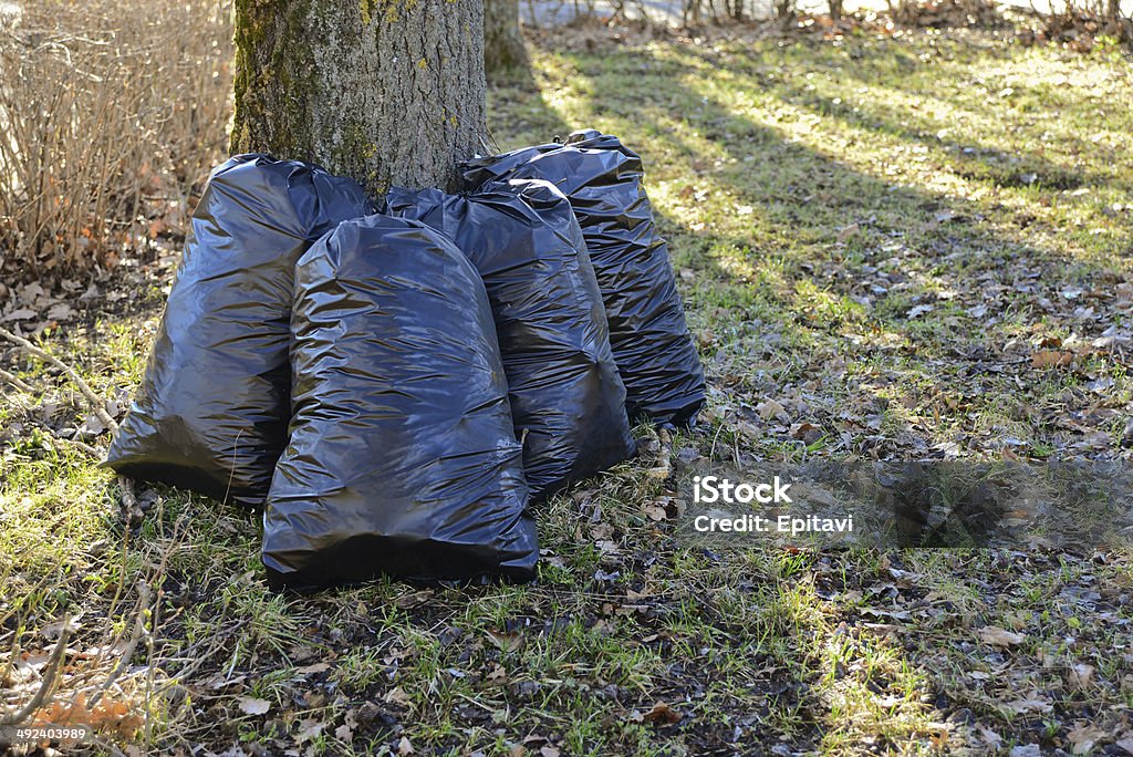 Plastic garbage bags Black plastic garbage bags after the cleaning in the park Activity Stock Photo
