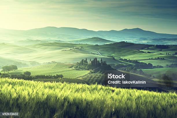 Früher Frühlingsmorgen In Der Toskana Italien Stockfoto und mehr Bilder von Landschaft - Landschaft, Landschaftspanorama, Grün