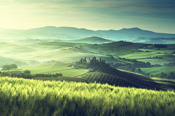 no início da primavera manhã na toscana, itália - green slopes - fotografias e filmes do acervo