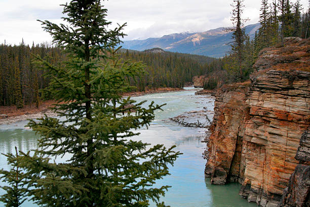 istock Maligne canyon, Canadian Rockies 492416066