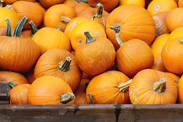 istock Pumpkin's harvest on market 492416416