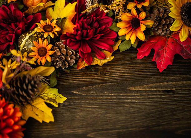 istock Fall themed decorations forming border on wooden background. Thanksgiving celebrations. 492418344