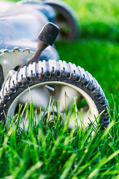 istock Lawnmower in freshly mowed lawn with uncut grass in foreground 492419298