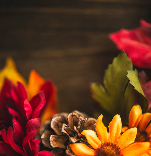 istock Fall themed decorations forming border on wooden background. Thanksgiving celebrations. 492421186