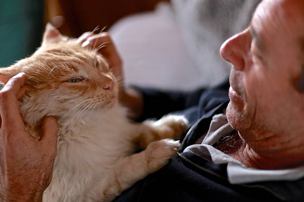istock Senior man relaxing at home with pet cat 492421722