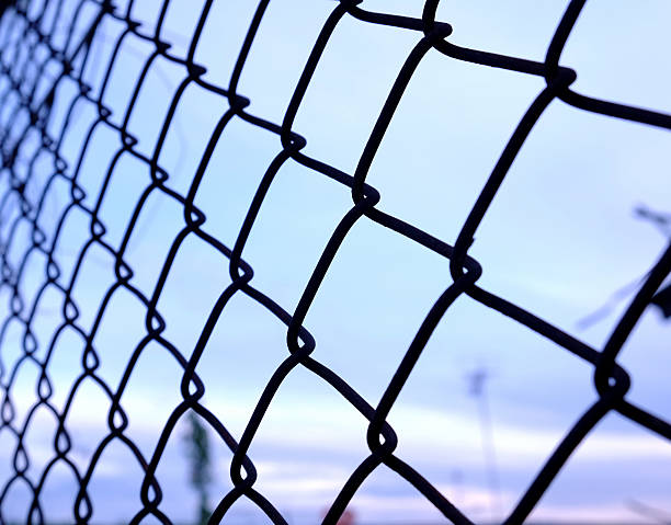 istock metal wire fence or cage with blue sky beautiful background. 492421748