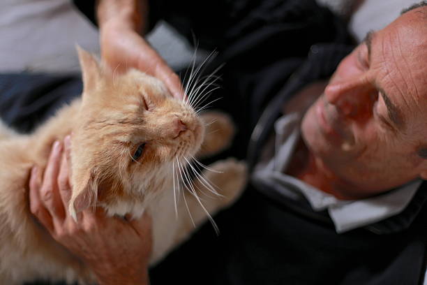 istock Man cuddles big cat Maine Coon 492422052