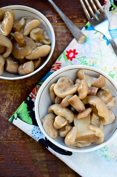 istock Pickled mushrooms with garlic in white bowl 492424762