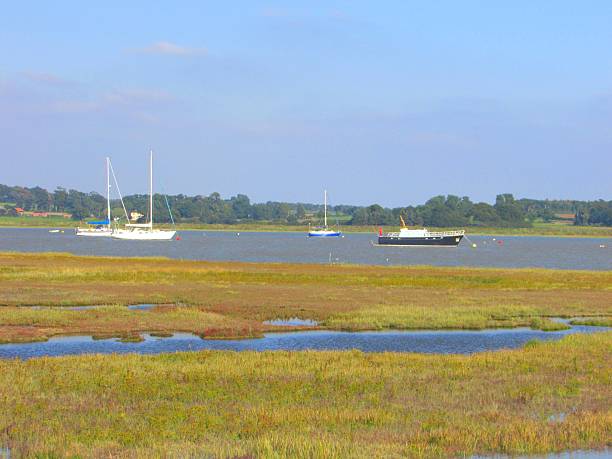 istock rural moored boats background 492427284