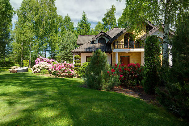 istock Beauty green lawn 492428438