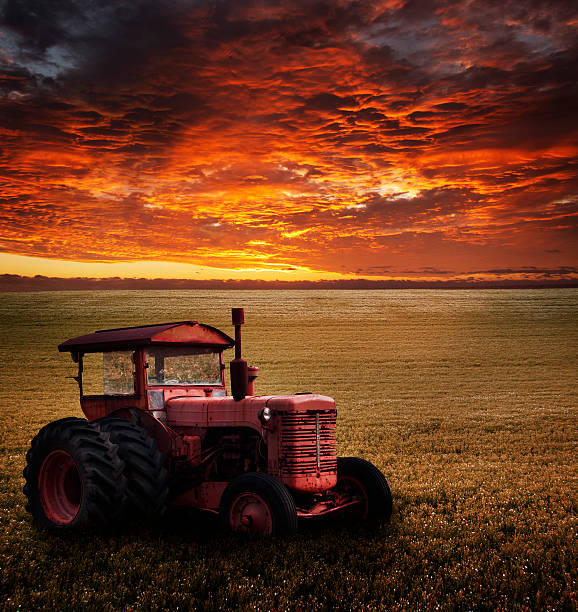 istock Farm Tractor in Field at Sunset 492440091