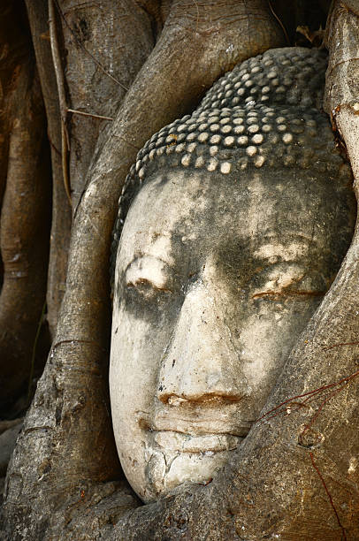 istock Head of Sandstone Buddha , Thailand 492440765