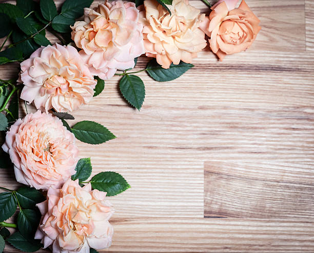 istock Vintage background with roses on wood. Romantic floral frame background. 492441385