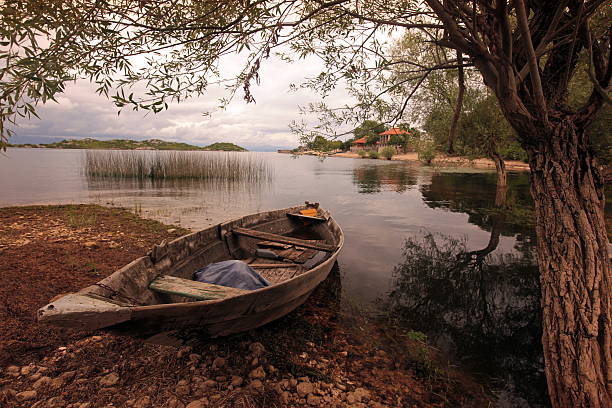 istock EUROPE MONTENEGRO SKADAR LAKE 492441839