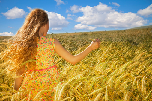 \nBeautiful woman in nature walking away from the camera in a wheat field, rear view