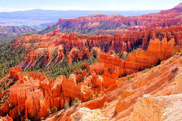 istock Beautiful hoodoo landscape, Bryce Canyon, USA 492444723