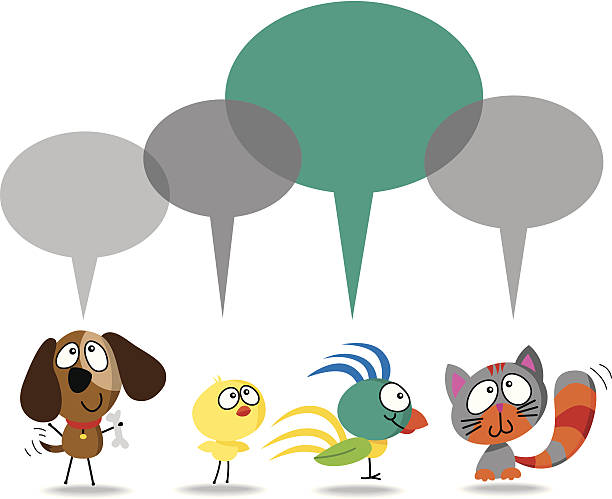 pets talk 2 vector art illustration