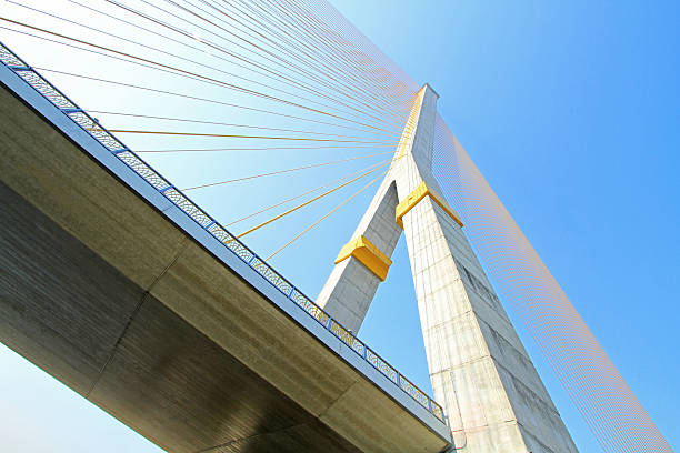 istock The Rama VIII Cable Bridge,Bangkok,Thailand 492446267