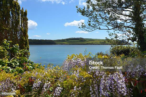 Cornwall Coast Cuadros Foto de stock y más banco de imágenes de Puerto Falmouth - Puerto Falmouth, Aire libre, Arbusto